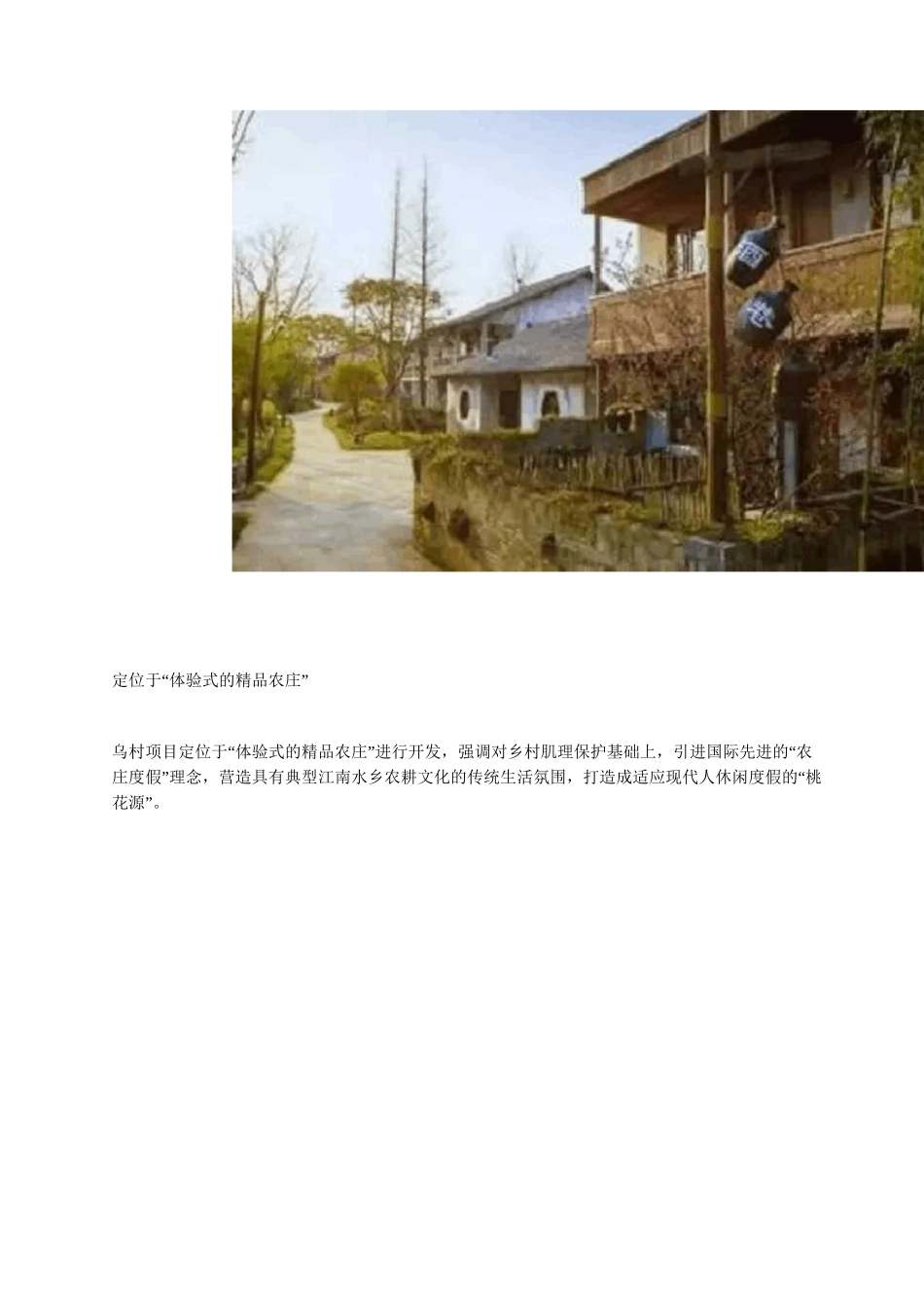 乡村旅游开发乌村_第2页