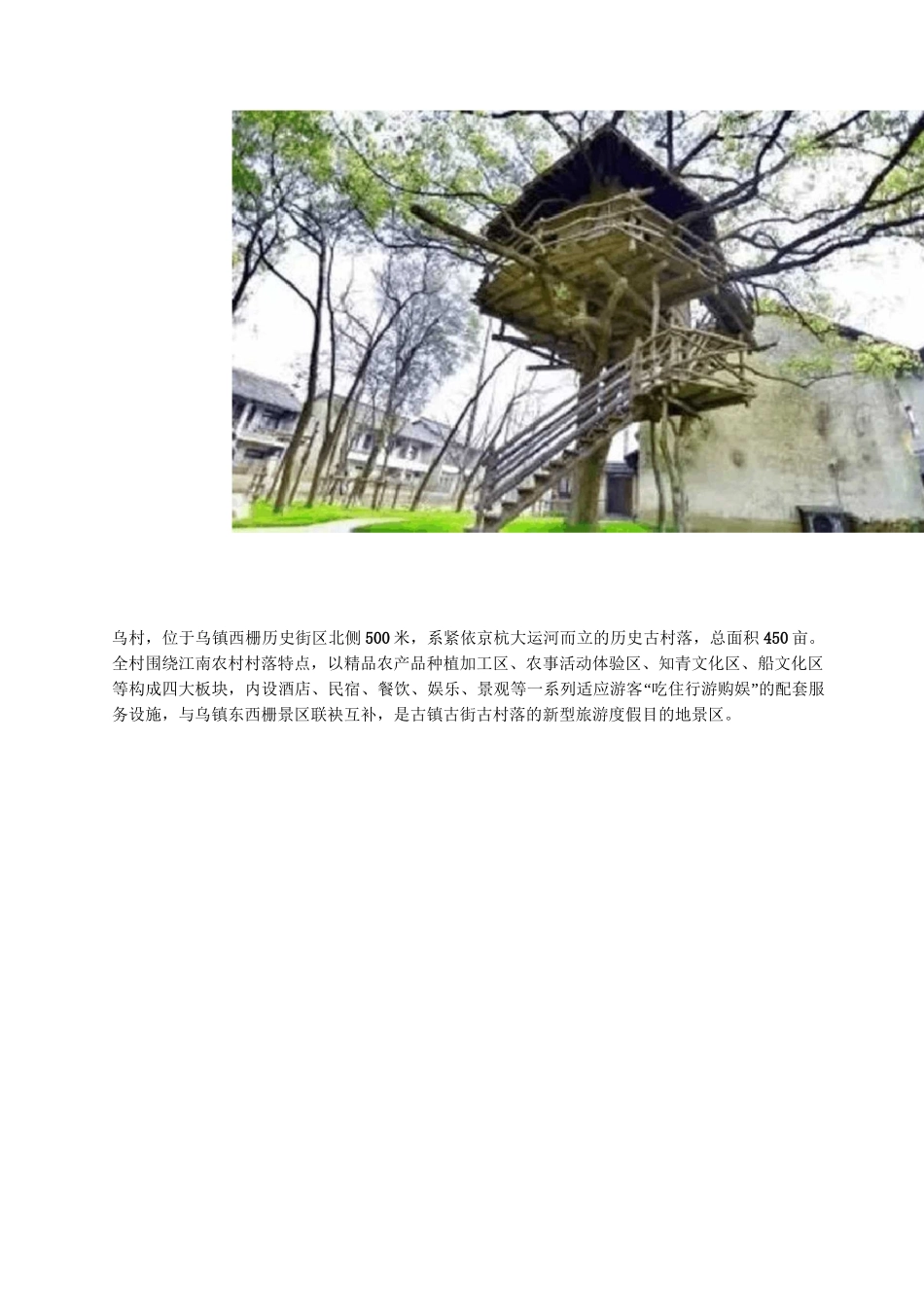 乡村旅游开发乌村_第3页