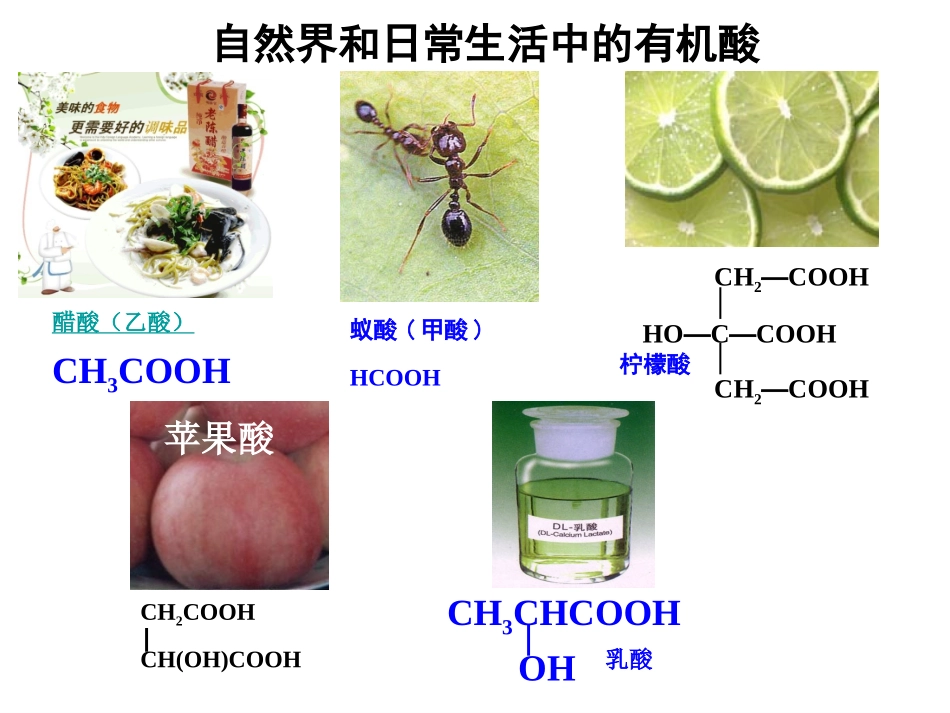 羧酸的性质与应用_第3页