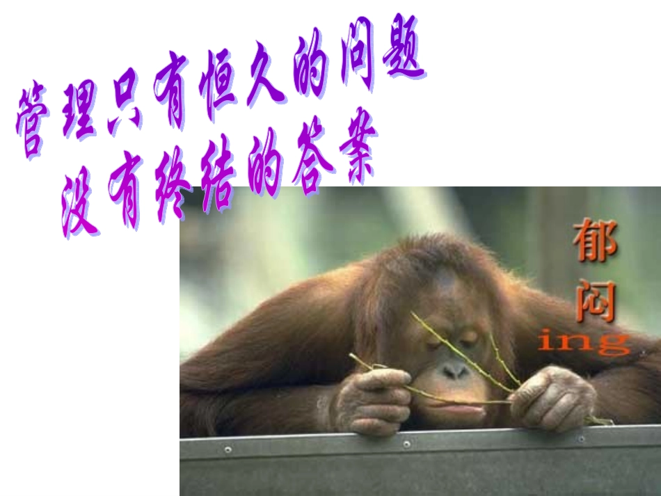 管理心理学--理论_第3页