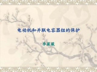 电动机和并联电容器组的保护