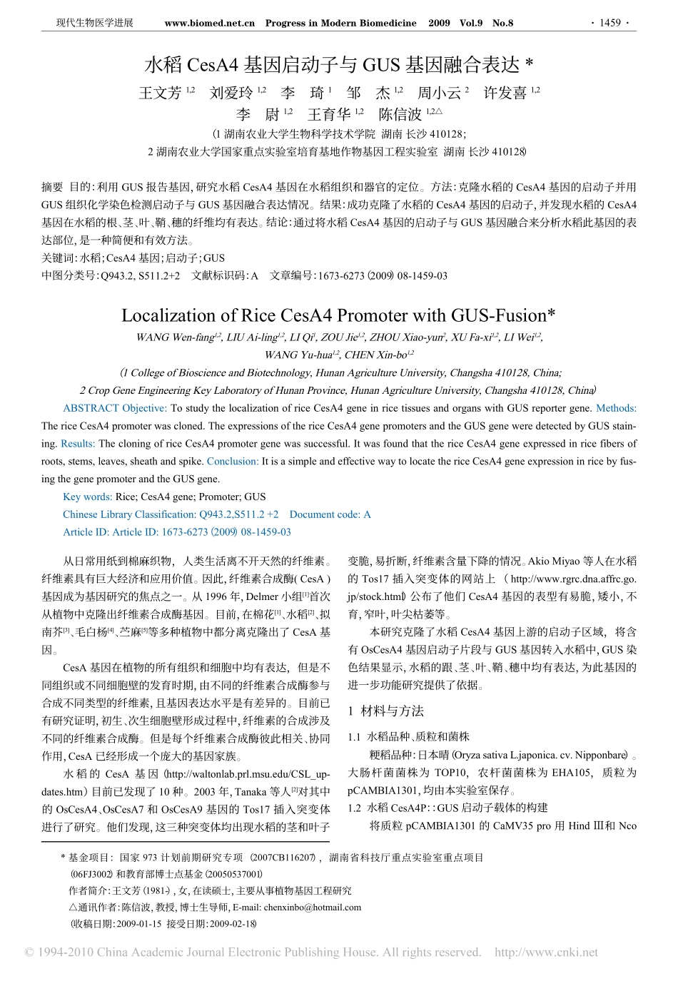 水稻CesA4基因启动子与GUS基因融合表达_第1页