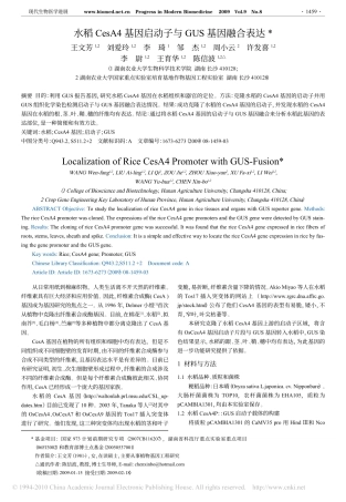 水稻CesA4基因启动子与GUS基因融合表达