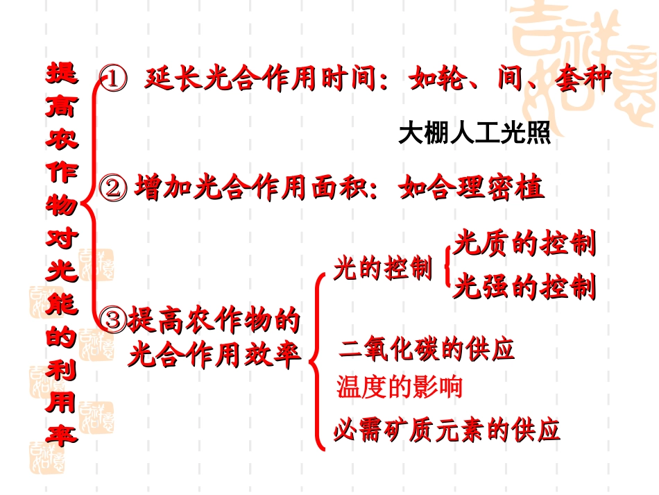 植物的光合作用效率_第2页