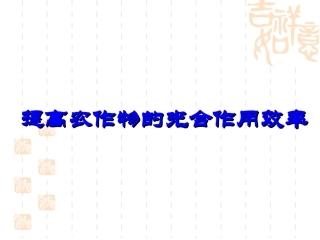 植物的光合作用效率