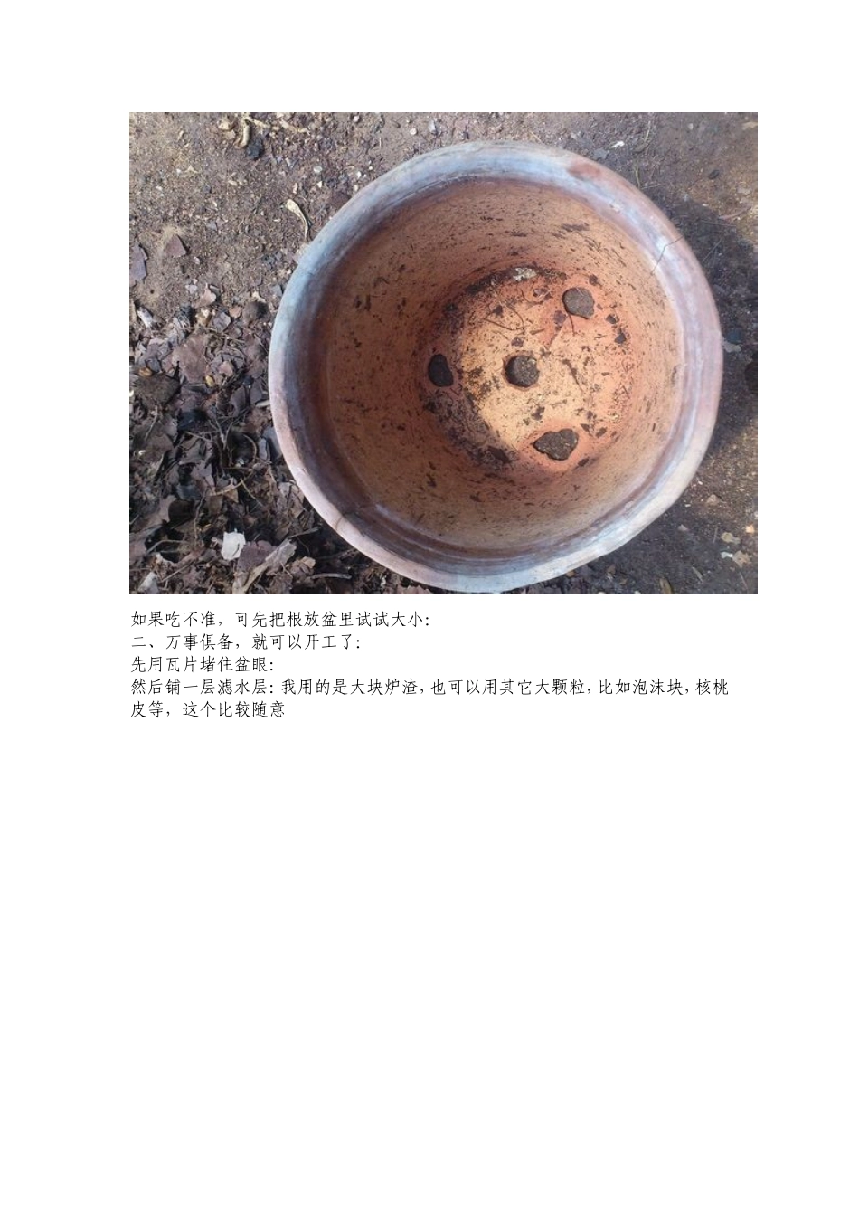 君子兰上盆教程_第3页