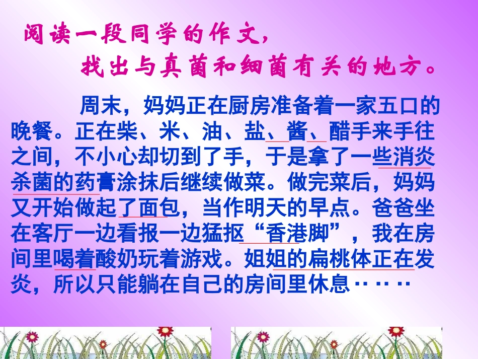 人类对细菌和真菌的利用_第3页