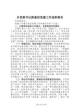 乡党委书记抓基层党建工作述职报告