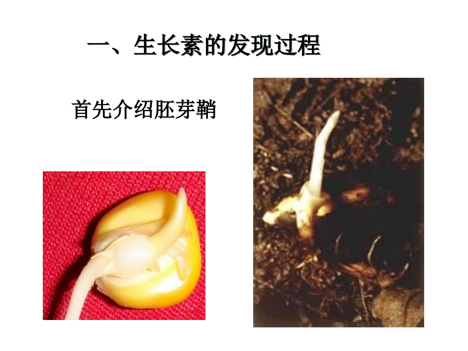 植物激素重点难点易错点_第3页
