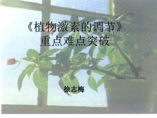 植物激素重点难点易错点