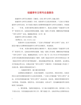 创建青年文明号自查报告 