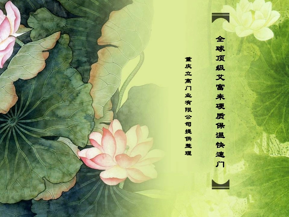 顶级艾富来硬质快速门_第1页