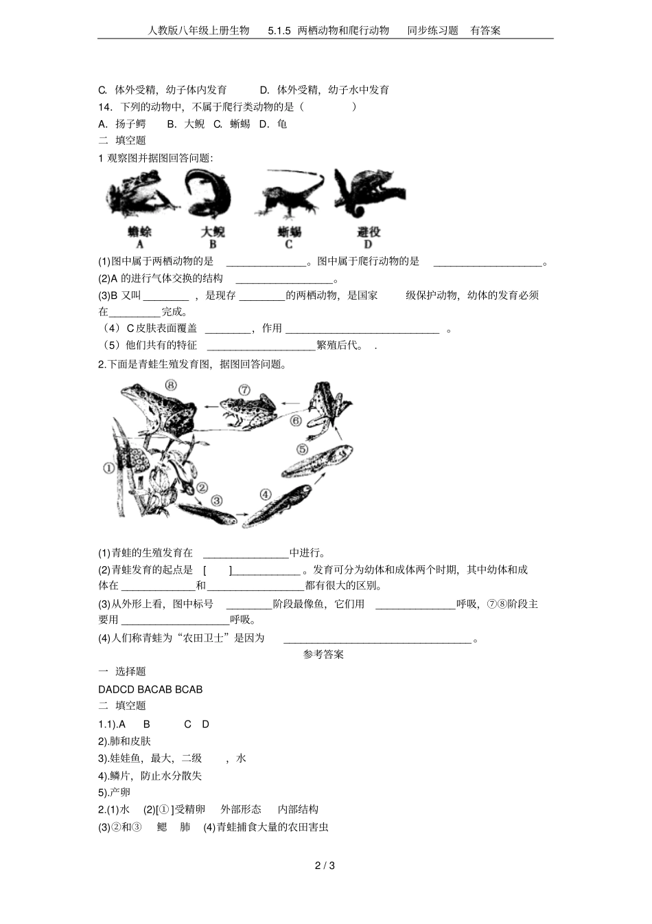 人教版八年级上册生物5两栖动物和爬行动物同步练习题有答案_第2页