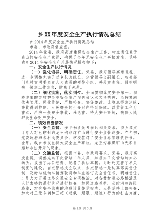 乡XX年度安全生产执行情况总结