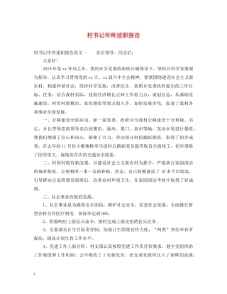 村书记年终述职报告 