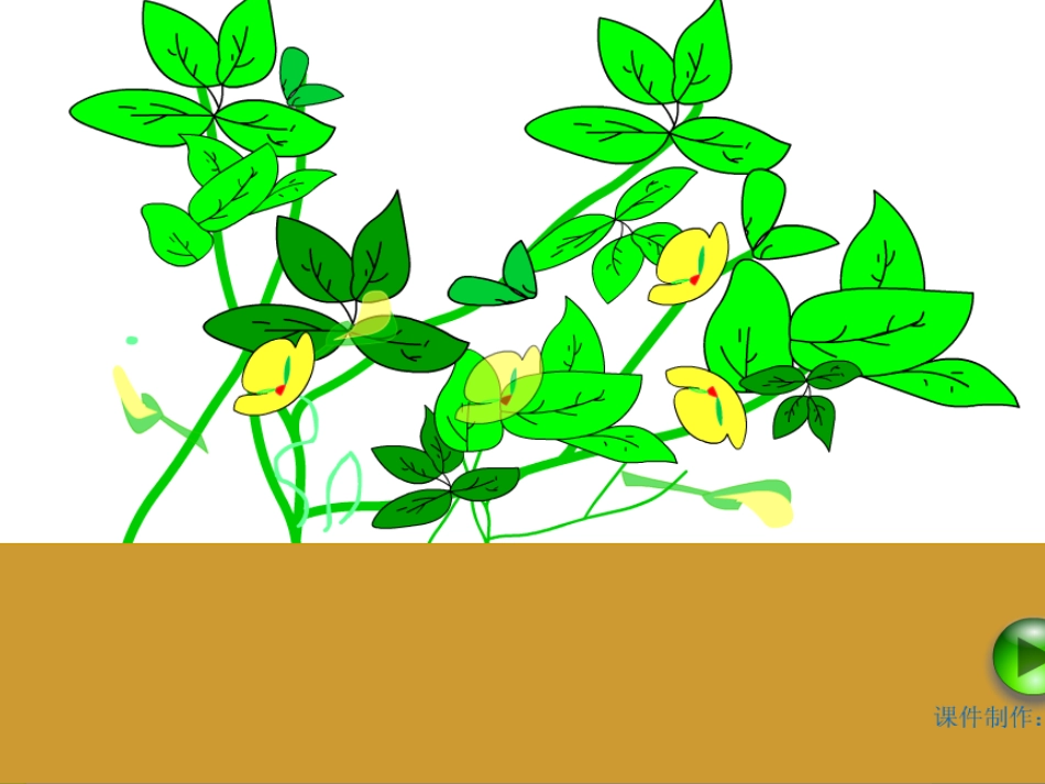 第15课落花生课件_第3页