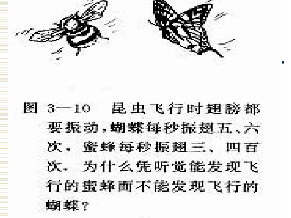 人听不到的声音_第2页