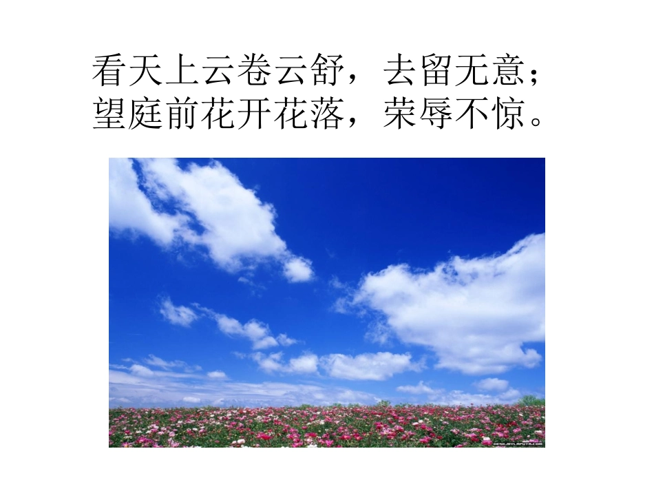 生活像一杯白开水(读书心得)_第3页