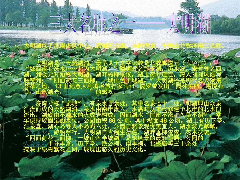 唐伟-认识我的家乡_第3页