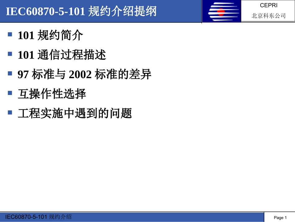 国网101规约介绍_第1页