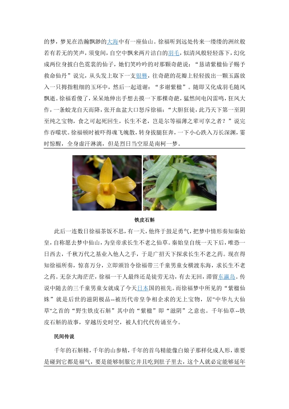 铁皮石斛相关资料汇总0907_第3页