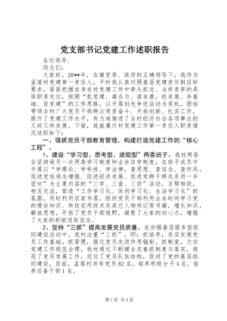 党支部书记党建工作述职报告 (2)