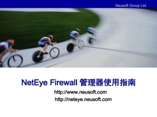 东软防火墙 NetEye FW 用户管理器 使用