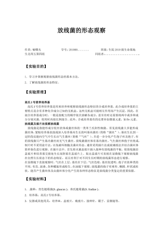 放线菌形态观察