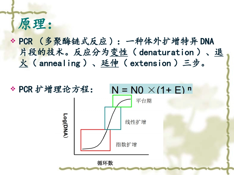定量PCR方法及数据分析_第2页