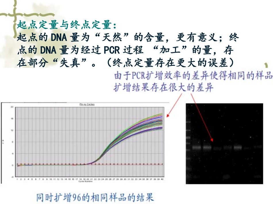 定量PCR方法及数据分析_第3页