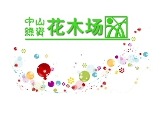 广东花木,绿化苗木,中山花卉之雪花木,鸭脚木,洋金凤,野牡丹