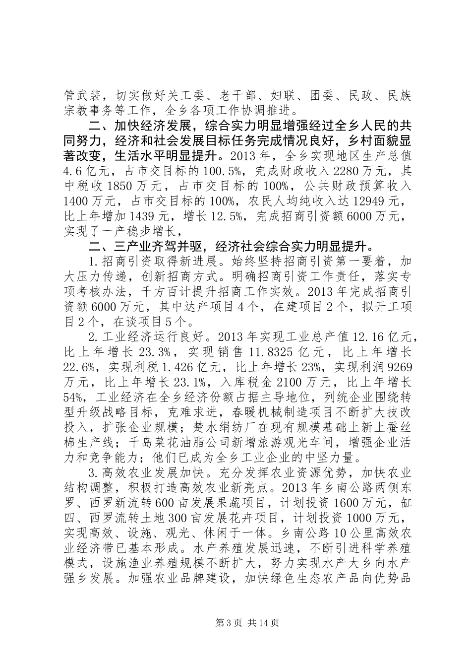 乡党员代表大会工作报告_第3页