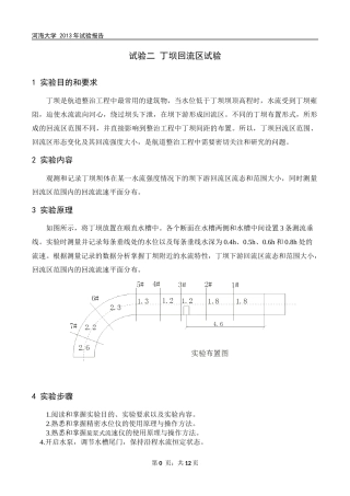 丁坝回流区试验