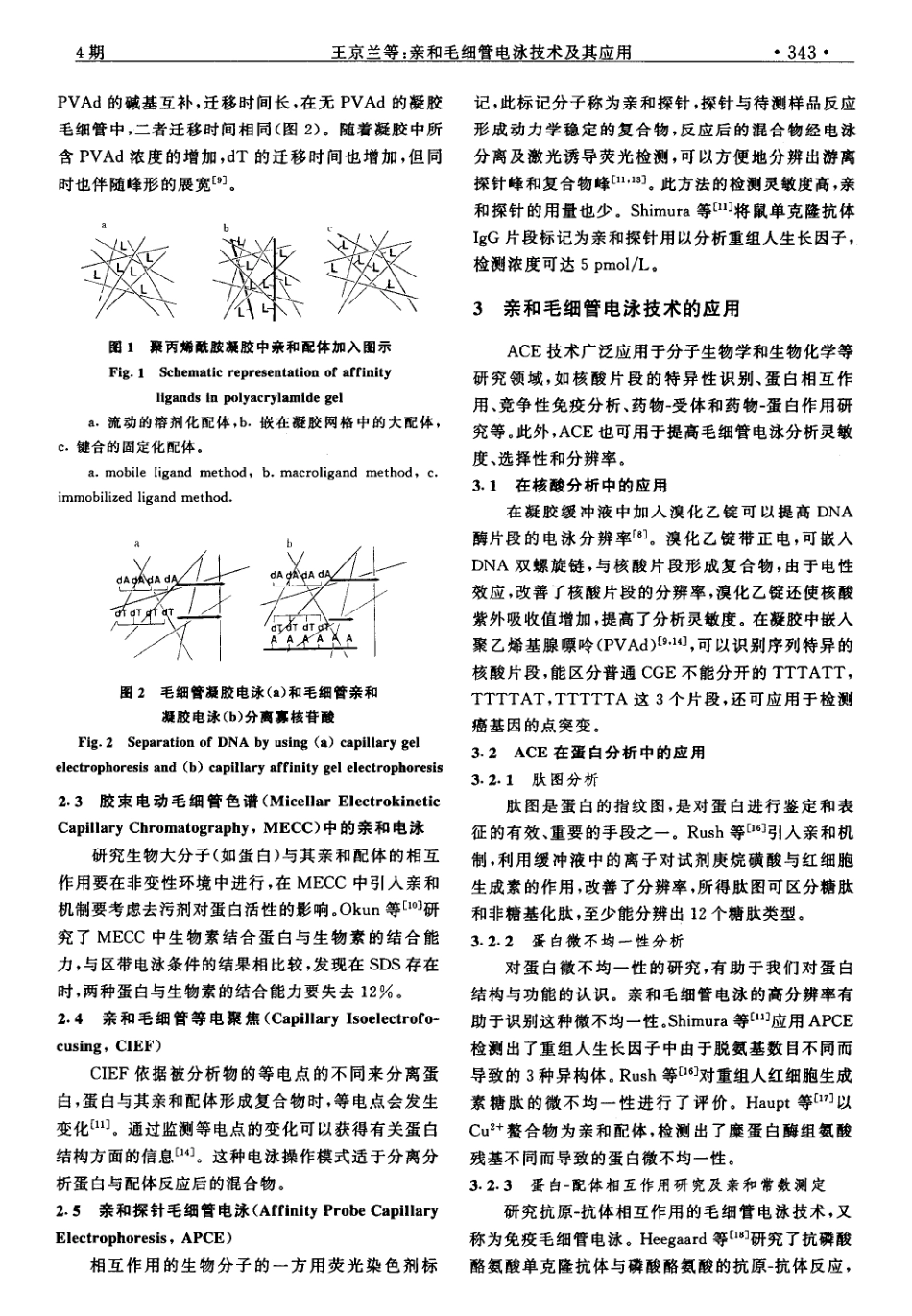 亲和毛细管电泳技术及其应用_第2页