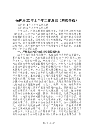保护局XX年上半年工作总结(精选多篇)