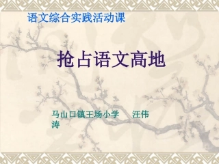 抢占语文高地,汪伟涛1