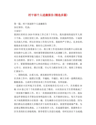 村干部个人述廉报告(精选多篇) 