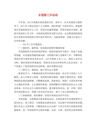 乡团委工作总结 