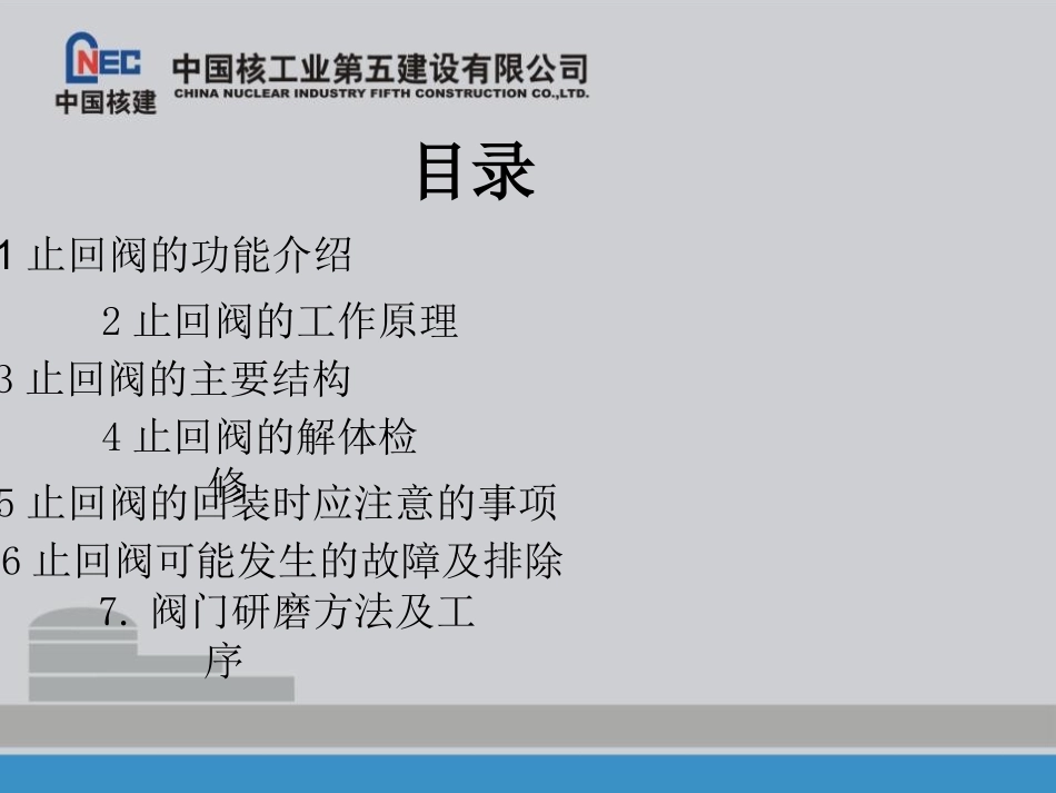 止回阀原理与结构_第2页