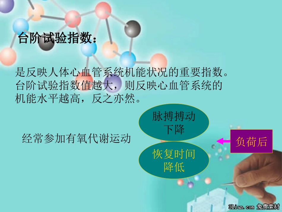 哈佛台阶试验_第3页
