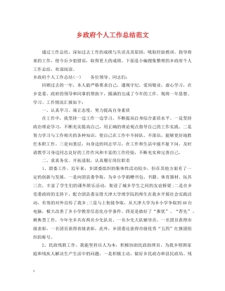 乡政府个人工作总结范文 