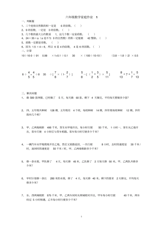 人教版六年级数学复习习题集