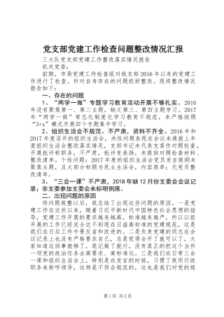 党支部党建工作检查问题整改情况汇报