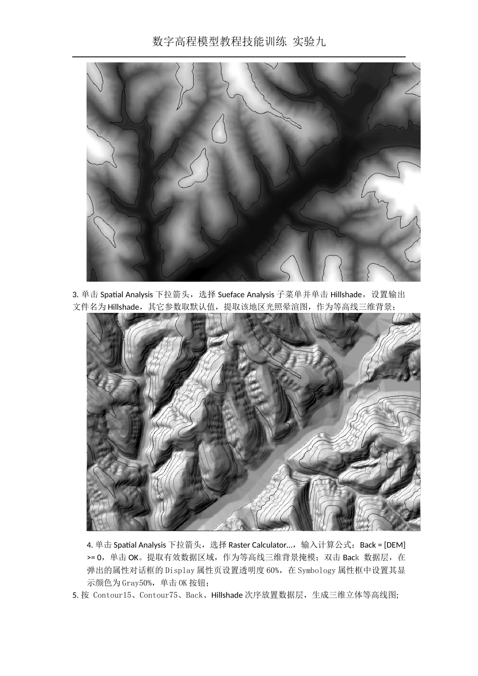 山顶点的提取、洼地点的提取 arcgis9.3  DEM_第2页