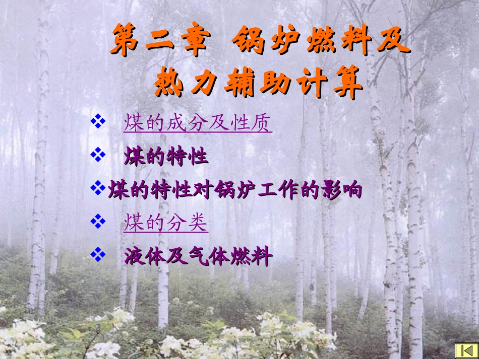 第二章  锅炉燃料_第1页
