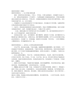 我的养花怪招