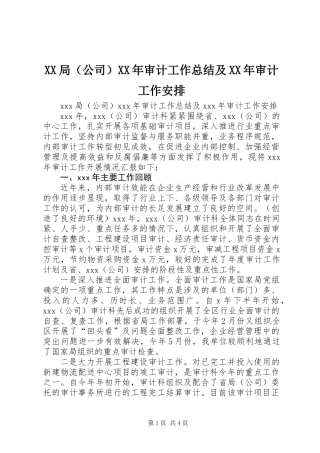 XX局（公司）XX年审计工作总结及XX年审计工作安排