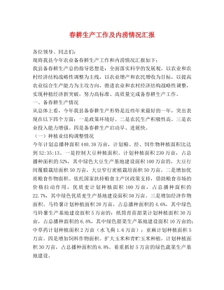 春耕生产工作及内涝情况汇报 