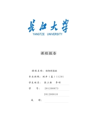 脉冲中子孔隙度测井