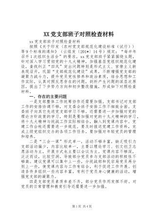 XX党支部班子对照检查材料